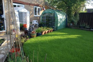 A packed garden area